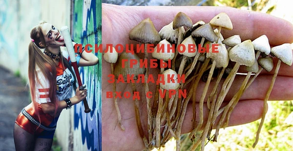молекула духа Михайловка
