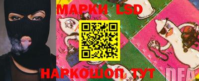 МДПВ Гатчина