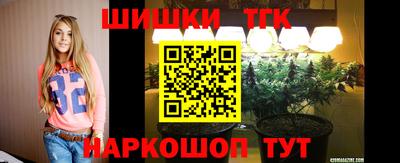 МДПВ Гатчина