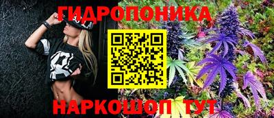 МДПВ Гатчина