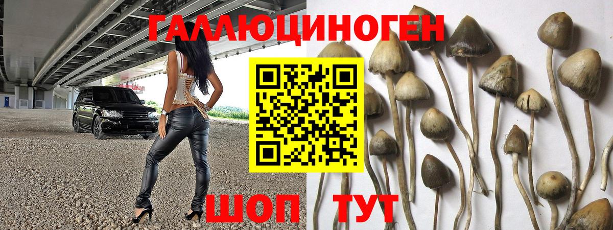 где купить наркоту  Галлюциногенные грибы ЛСД  Вход с VPN  Иваново 