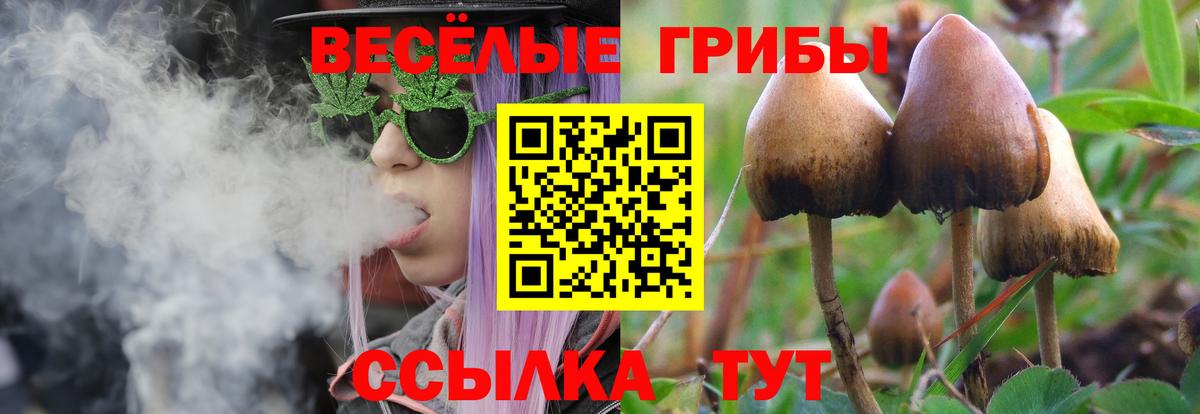 Галлюциногенные грибы мицелий  дарнет шоп  Галлюциногенные грибы Cubensis  Иваново 