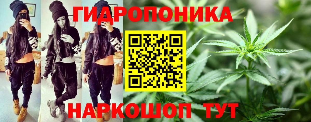 Бошки марихуана тримм  Вход с VPN  Конопля AK-47  Бошки Шишки OG Kush  Иваново  МАРИХУАНА THC 21% 
